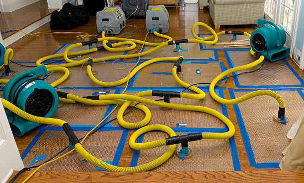 Professional Emergency Water Removal technician working in North Stonington, CT